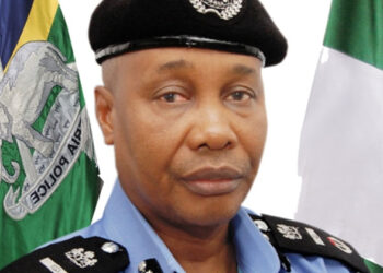 Igbo professionals rise against IGP’s order