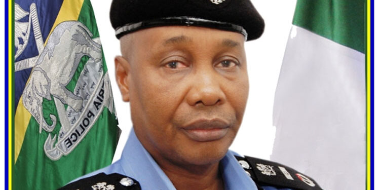 Igbo professionals rise against IGP’s order