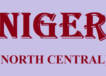 Vigilance groups mobilise forces against bandits in Kontagora