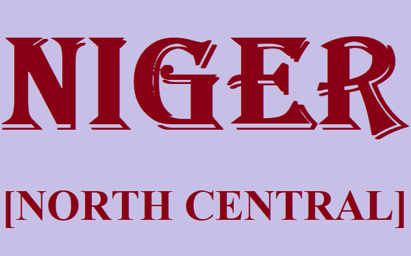 Vigilance groups mobilise forces against bandits in Kontagora