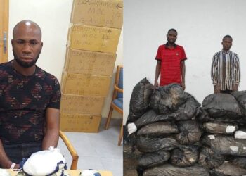 NDLEA nabs drugs kingpin in Abuja airport