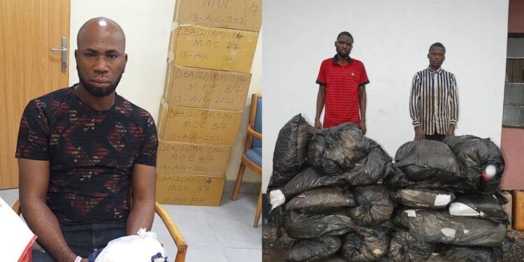 NDLEA nabs drugs kingpin in Abuja airport