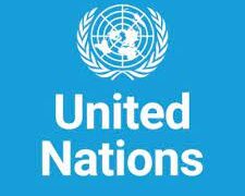 Anambra commissioner bags UN champion’s medal on SDGs