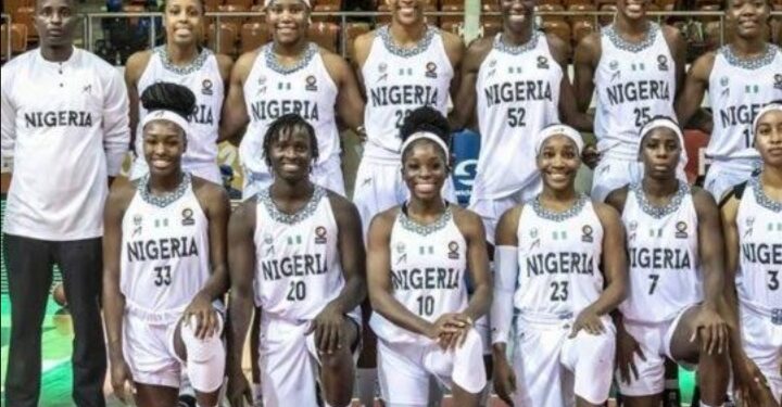 NBBF board awaits details to offset D’Tigress unpaid entitlements, move to reinstate domestic leagues