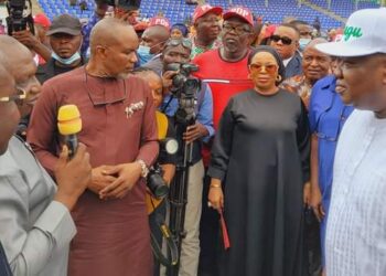 PDP Primaries: Enugu Governor Wins Senatorial District Ticket