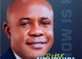 Enugu LP candidate promises mass housing for citizens in Enugu