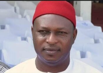 Breaking News: Chijioke Edeoga emerges new LP guber candidate in Enugu