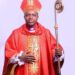 Bishop Onyia charges fathers to give priority to welfare of their families