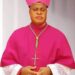 Group felicitates with Bishop Okpalaeke on his elevation as Cardinal