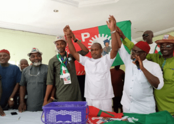 Edeoga finally emerges LP candidate,.vows to dismantle PDP