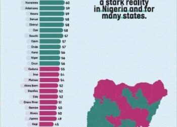 GoodNews: Enugu beats 35 other states in Primary Healthcare Service Delivery in Nigeria