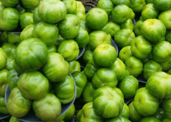 HEALTH BENEFITS OF EATING GARDEN EGGS