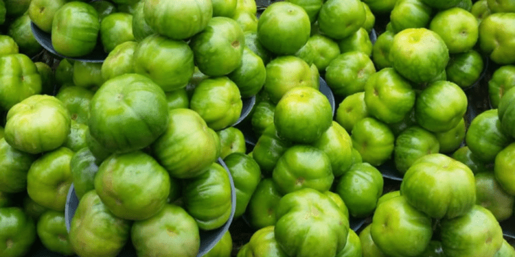 HEALTH BENEFITS OF EATING GARDEN EGGS