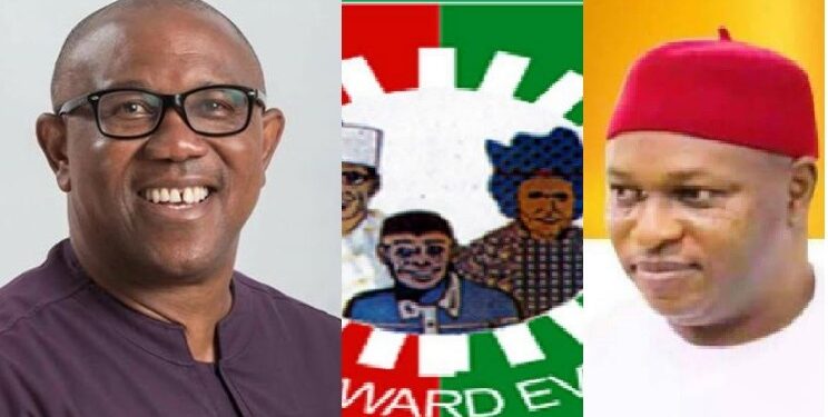 Sanitation Walk in support of Peter Obi, Edeoga holds today