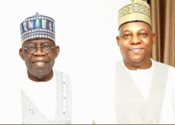 They Are Plotting To Get Rid Of Tinubu & Replace With Shettim – Awolowo