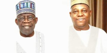 They Are Plotting To Get Rid Of Tinubu & Replace With Shettim – Awolowo