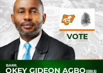 Enugu North SDP senatorial candidate reclaims mandate