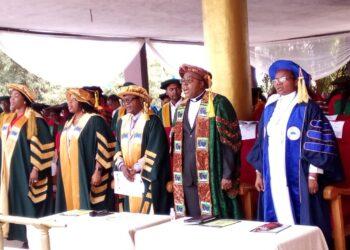Godfrey Okoye fastest growing private university in South East-VC