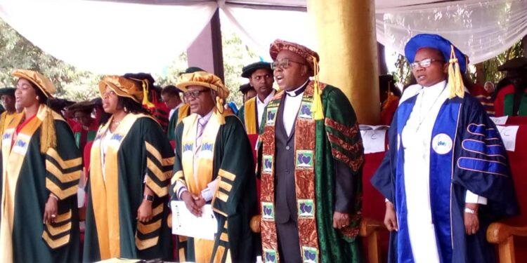 Godfrey Okoye fastest growing private university in South East-VC