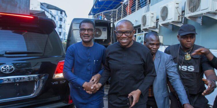 Vote Peter Obi for Presidency, for others vote APGA, says Nweke Jr