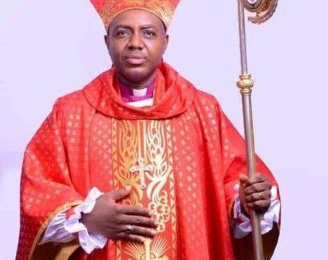 2023 elections not credible- Bishop Onyia