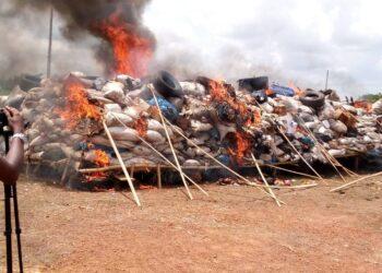 23,721.7948kg of  illicits drugs destroyed by NDLEA in Enugu