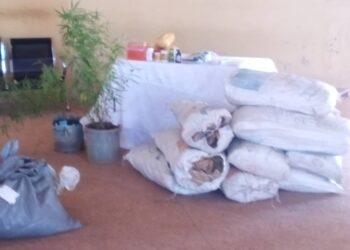 NDLEA nab over a 100 drug dealers in Enugu–official