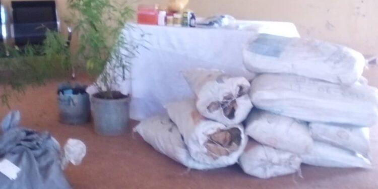 NDLEA nab over a 100 drug dealers in Enugu–official