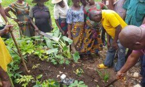 SSDO, ActionAid train Enugu community on Agro-ecology smart farming