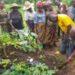 SSDO, ActionAid train Enugu community on Agro-ecology smart farming