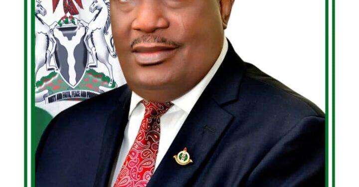 Police Commission will continue to punish officers found culpable-Arase