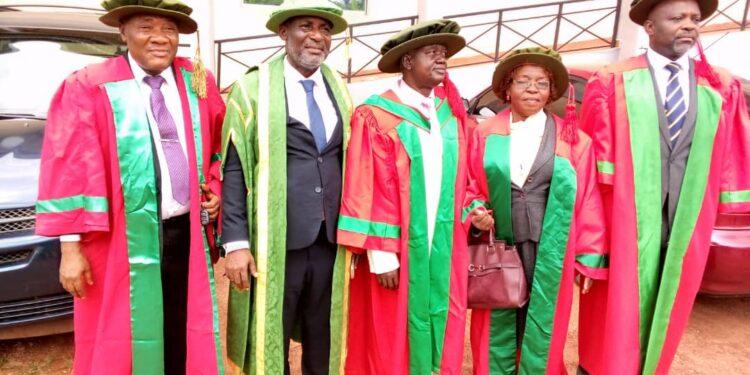 Don urges Nigerians to shun environmental abuse