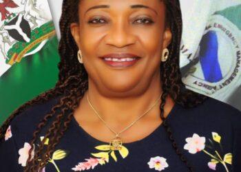 NEMA urges communities’ involvement in flood mitigation in South-East