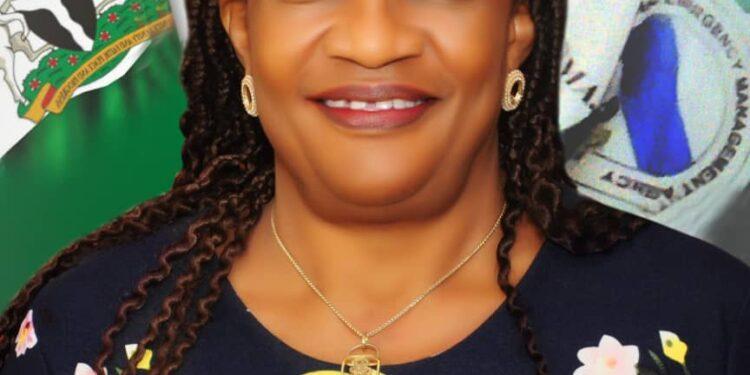 NEMA urges communities’ involvement in flood mitigation in South-East