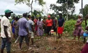 NGOs train farmers in 3 Enugu communities on agro-ecology