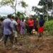 NGOs train farmers in 3 Enugu communities on agro-ecology