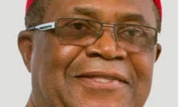 Former Enugu Governor, Dr. Nwodo Invites Friends, Associates To His Daughter’s Launch of Three Books