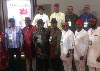 NDDC, IFAD launch N142.96bn agribusiness scheme in 3 states