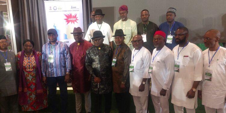 NDDC, IFAD launch N142.96bn agribusiness scheme in 3 states