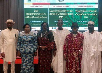 ECOWAS moves to harness AI use, contain security threat in West Africa