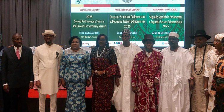 ECOWAS moves to harness AI use, contain security threat in West Africa