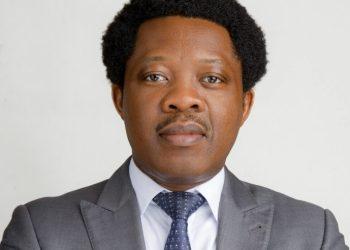 Igbo United Professionals Hail Tinubu’s Appointment of Ihedioha as NRS Executive Director