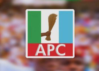 APC Convention Shows Unity, Democratic Strength — Ochei