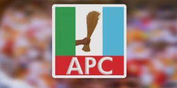APC Convention Shows Unity, Democratic Strength — Ochei