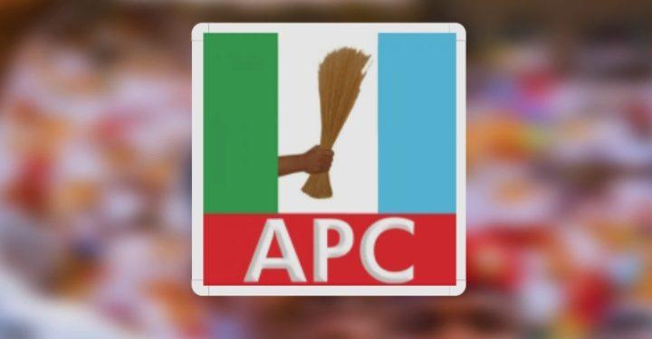 APC Convention Shows Unity, Democratic Strength — Ochei