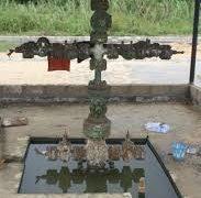 Bayelsa Traditional Ruler Commends Women for Restoring Degraded Oloibiri Forest