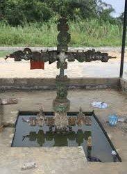 Bayelsa Traditional Ruler Commends Women for Restoring Degraded Oloibiri Forest