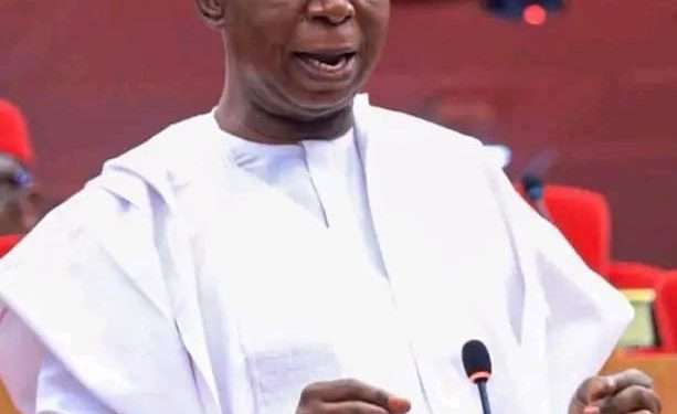Physical Offices for Social Media Platforms Bill advances to public hearing – Nwoko