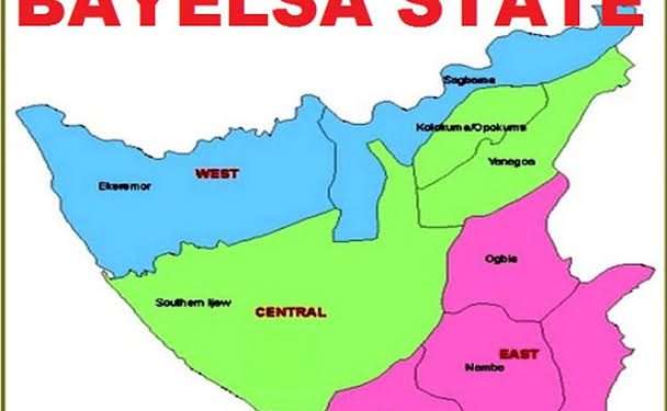 Bayelsa Govt Threatens Libel Suit Against Leadership, Punch Over Alleged False Report