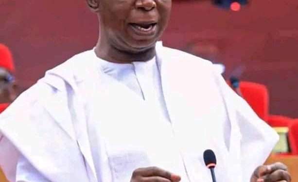 International Youth Day: Nwoko urges youths to remain ambitious, resilient
